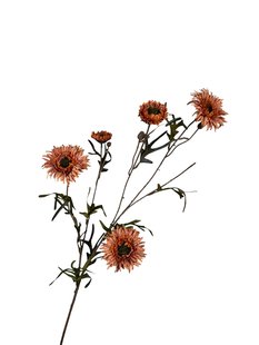 Kunstbloem Daisy - Oranje - 80 cm