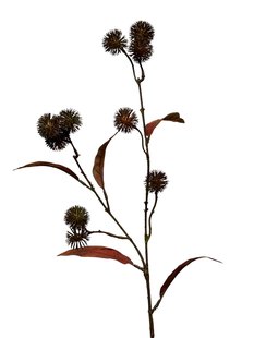 Kunstbloem Distel - Groen - 61 cm