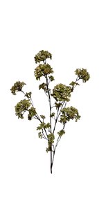 Kunstbloem Hortensia - Groen - 120 cm