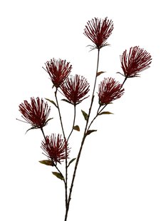 Kunstbloem Spider - Koffie  - 120 cm