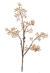 Kunstbloem Wutong - Beige - 90 cm