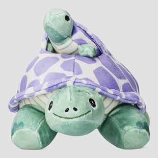 Schildpad met kleintje