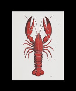 Rode Kreeft Poster
