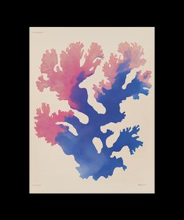 Abstracte Koraal Poster