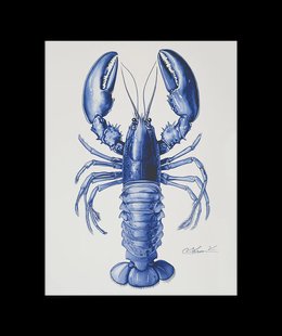 Blauwe Kreeft Poster