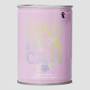 Kweek je eigen ochtendglorie