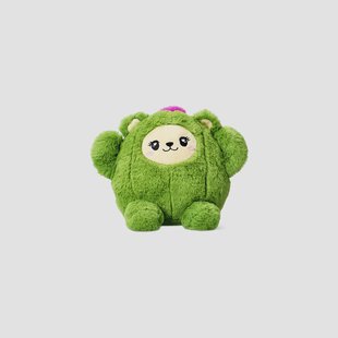 Pluche teddy in cactuskostuum