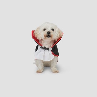 Kostuums voor huisdieren - Dracula