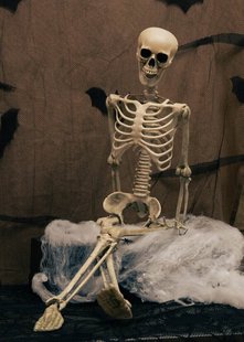 Decoratie skelet om op te hangen - 85 cm