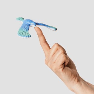 Adelaar in evenwicht