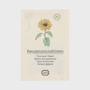 Bloemzaden, biologisch, zonnebloem, 2.5 g