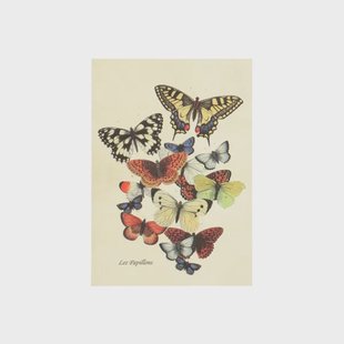Kaart, vlinders