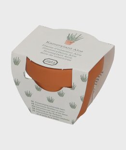 Potje met Alo&euml; vera