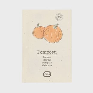 Groentezaden, biologisch, pompoen, 1.5 g