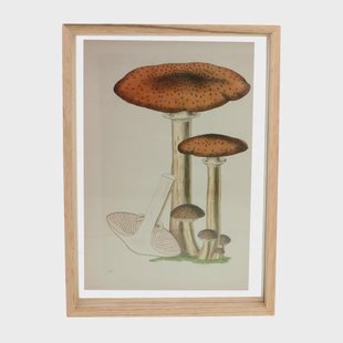 Fotolijst, eikenhout, 21 x 30 cm