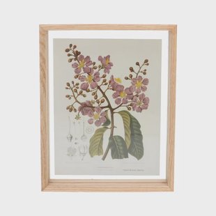 Fotolijst, eikenhout, 20 x 25 cm