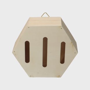 Vlinderkast, zeshoekig, stapelbaar