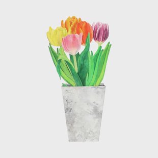 Kaart 3D met envelop, tulpen