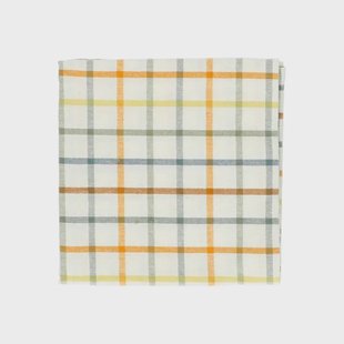 Theedoek, bio-katoen, frisse ruit, 50 x 70 cm