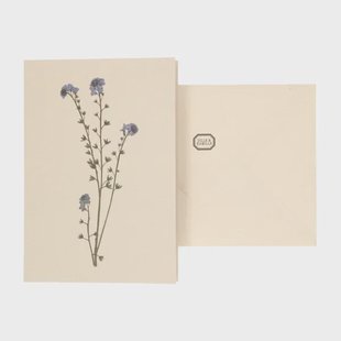 Kaart met envelop, vergeet-me-nietje