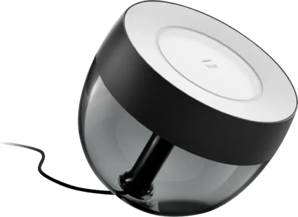 Philips Hue Iris White and Color Zwart