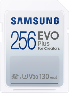 Samsung EVO Plus 256GB SDXC