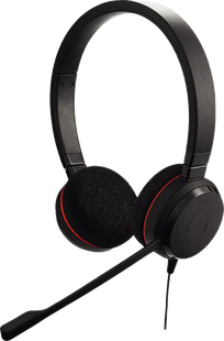 Jabra Evolve 20 - MS Stereo SE Office Headset