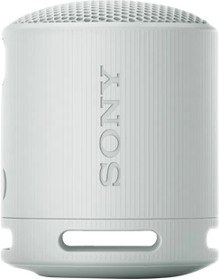 Sony SRS-XB100 Grijs