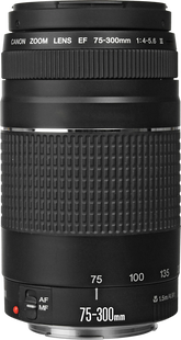 Canon EF 75-300mm f/4.0-5.6
