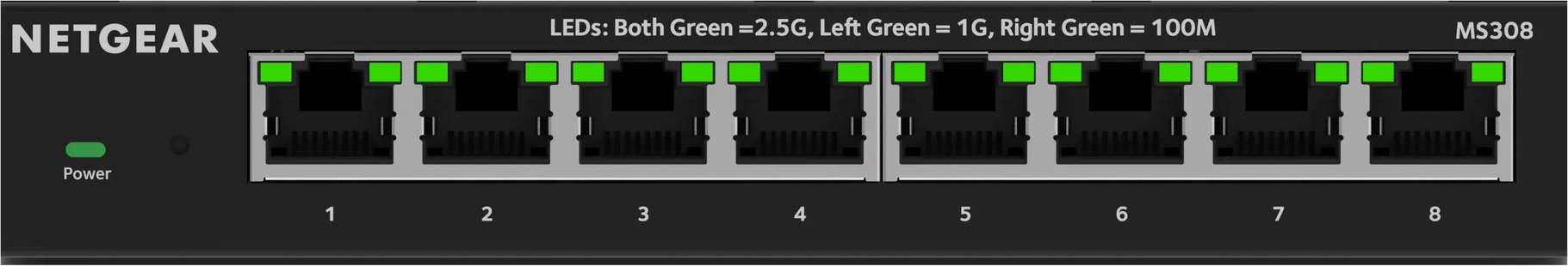 Netgear MS308
