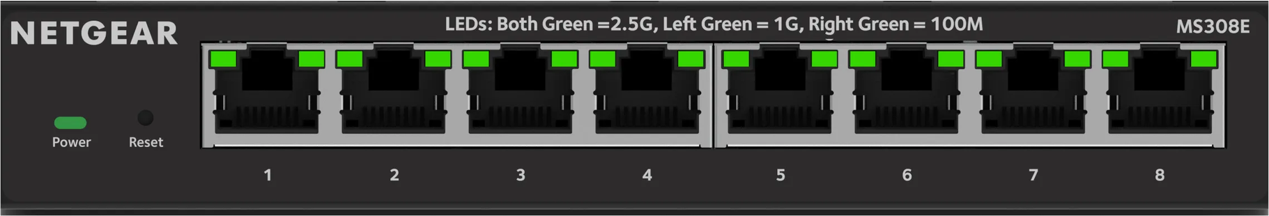 Netgear MS308E