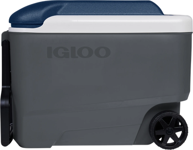 Igloo Maxcold 40R