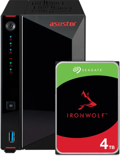 ASUSTOR AS5402T + Seagate Ironwolf 4TB