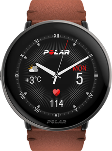 Polar Ignite 3 Titanium/Bruin