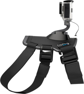 GoPro Fetch Dog Harness