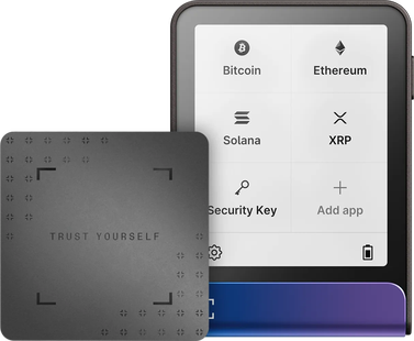 Ledger Flex Neptune Blue incl. Recovery Key