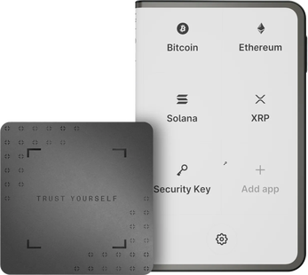 Ledger Stax incl. Recovery Key