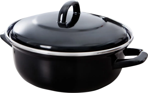 BK Fortalit Stoof/Braadpan 20 cm