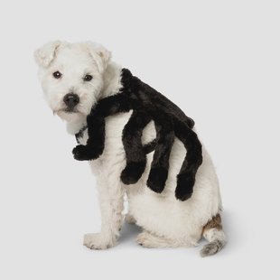 Kostuum. Voor huisdieren