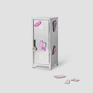 Metalen kastje met magneten - 27 cm