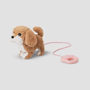 Mechanisch wandelen met hond