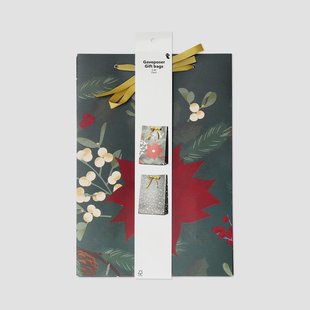 Pop up cadeauzakjes met goud lint - 2 stuks