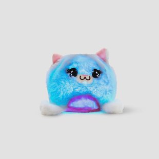 Helderziende kat met licht