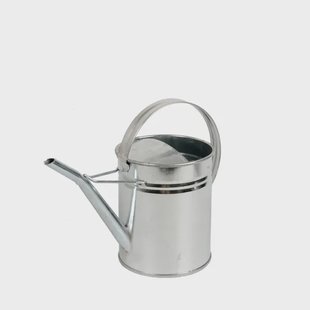 Gieter, zink, naturel, 2 liter
