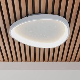 Näve LED plafondlamp Argesa Ø 60,5 cm, wit, CCT, afstandsbediening