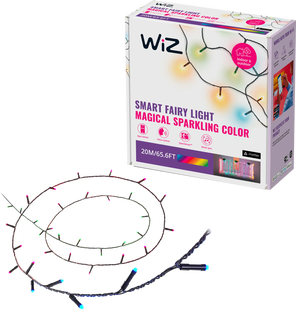 WiZ Slimme Lichtslinger - 20 meter - 160 LED