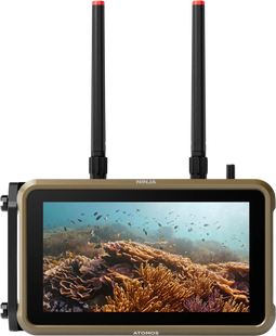 Atomos Ninja