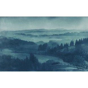 Fotobehang Twilight - Groen - 2,50m X 400cm