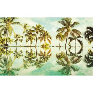 Fotobehang Key West - Groen - 2,50m X 400cm
