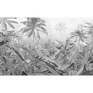 Amazonia Fotobehang Black & White - Grijs - 2,50m X 400cm